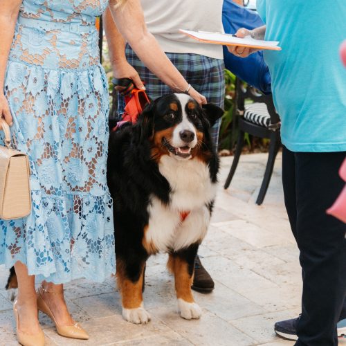 480743942_1179085330244601_6211416980563521278_n