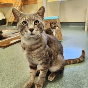 9e05e7787dda4eaa3d0f1cee1bf258ec