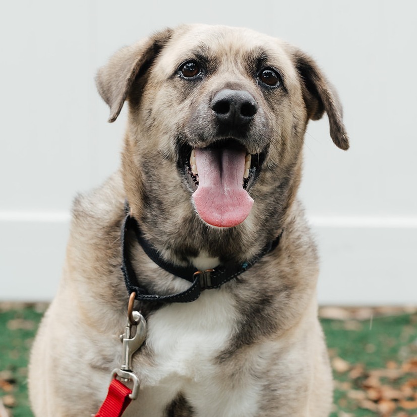 PBHSN | Long Term Residents