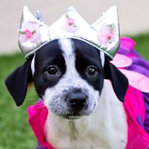 Event Image for Website (2)