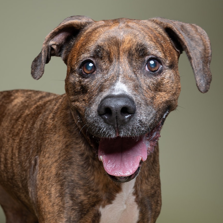 PBHSN | Long Term Residents PBHSN | Long Term Residents