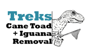 Treks Cane Toad + Iguana Removal