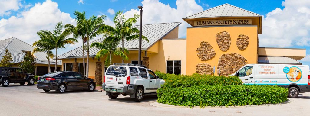 Humane Society Naples | No-Kill Animal Shelter in Collier County