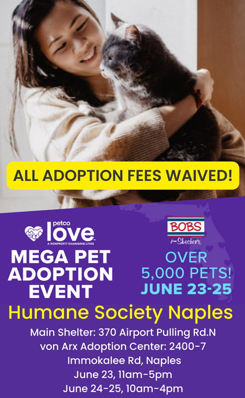 Humane Society Naples Mega Adoption Flyer